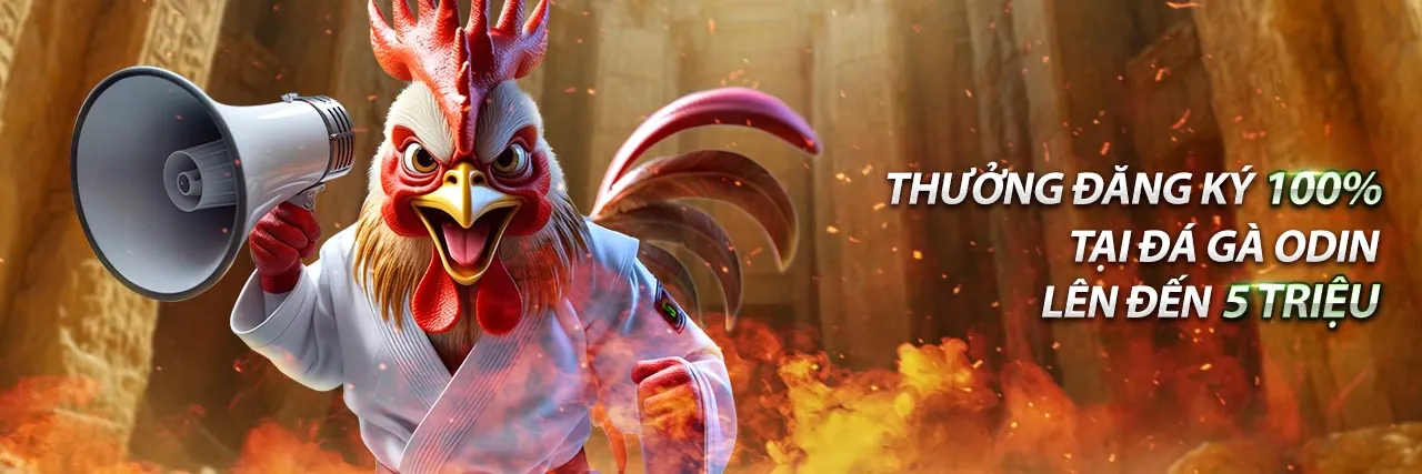 Đá gà trực tiếp kịch tính tại GOD55